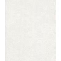 Обои 0,53 х 10м 10134-14 Аспект
