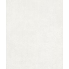 Обои 0,53 х 10м 10134-14 Аспект