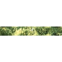 Бордюр керам. 30х4,5см  Waterfall mountains B300D259