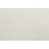 Обои 1,06 х 25м 409-01 HomeColor