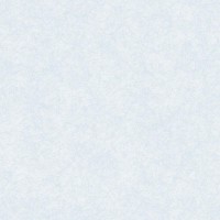 Обои 0,53  x 10,05м 978-01 Чаровница фон