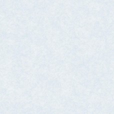 Обои 0,53  x 10,05м 978-01 Чаровница фон