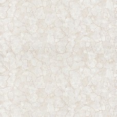 Обои 0,53 х 10 м 1848-61 Трещины