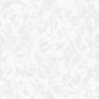 Обои 0,53  x 10м 892-06 Жозефина фон