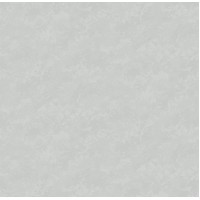 Обои 1,06 х 10м 589523 VICTORIA STENOVA Astra