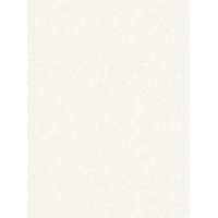 Обои 0,53 x 10м 10142-11 Аспект