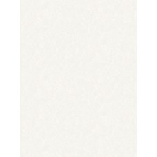 Обои 0,53 x 10м 10142-11 Аспект