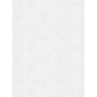 Обои 1,06  x 10м 30282-11 Аспект